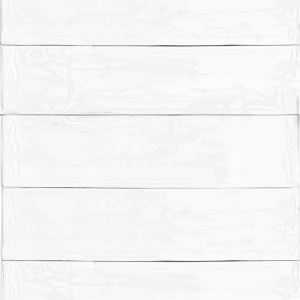Obklad Atelier Blanc | 62x250 | lesk