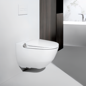 WC sedátko Cleanet Riva + klozet závěsný  | 600 × 395 | rimless | bílá LCC