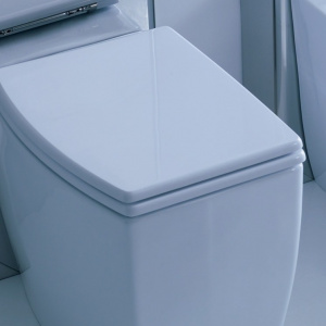 WC sedátko OLYMPIC | soft close | bílá