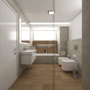 Návrh koupelny - Přímý pohled ze sprchového koutu
